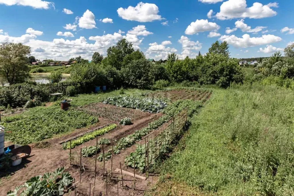 Участок в Алтайский край, Барнаул городской округ, с. Лебяжье  (10.0 ... - Фото 1