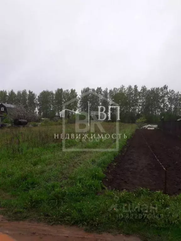 Участок в Ленинградская область, Гатчинский муниципальный округ, д. ... - Фото 2
