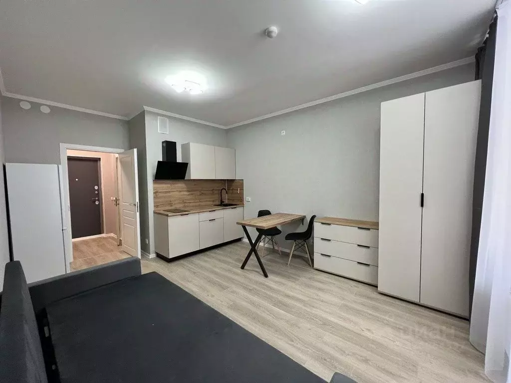 Студия Санкт-Петербург пос. Шушары, ул. Нины Петровой, 10к1 (24.0 м) - Фото 1