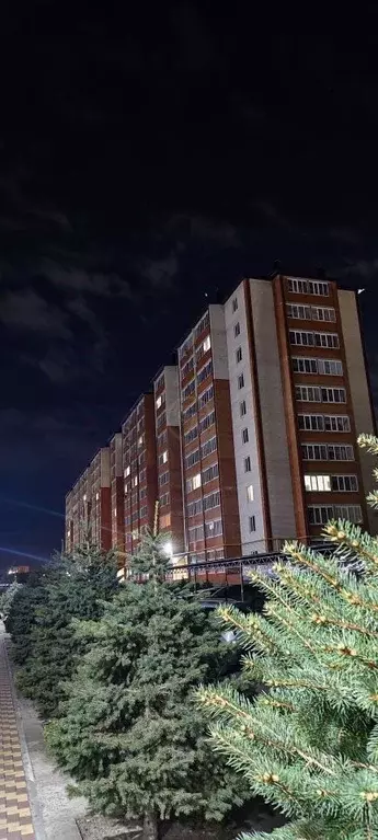 1-к кв. Карачаево-Черкесия, Черкесск Октябрьская ул., 9Н (47.0 м) - Фото 2
