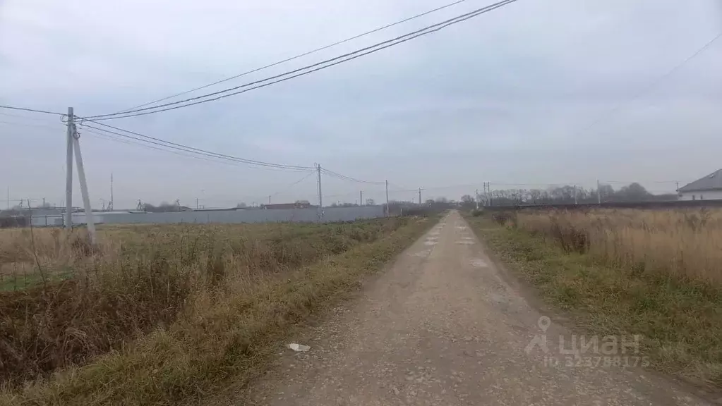 Участок в Московская область, Ступино городской округ, д. Дубнево  ... - Фото 2