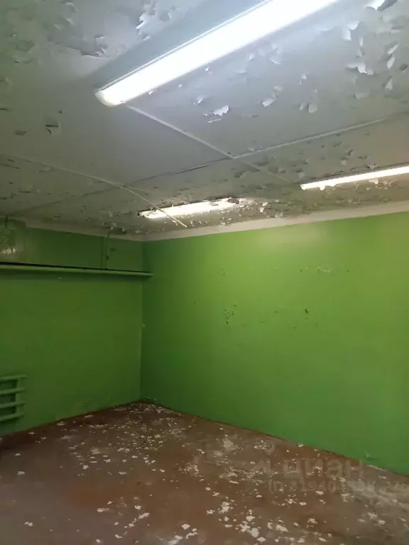 Помещение свободного назначения в Пермский край, Пермь ул. Вильямса, ... - Фото 0