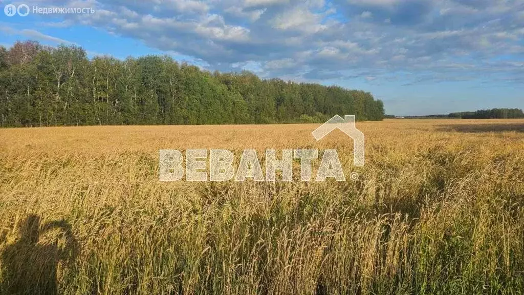 Участок в село Каменка, Тюменская улица (200 м) - Фото 1