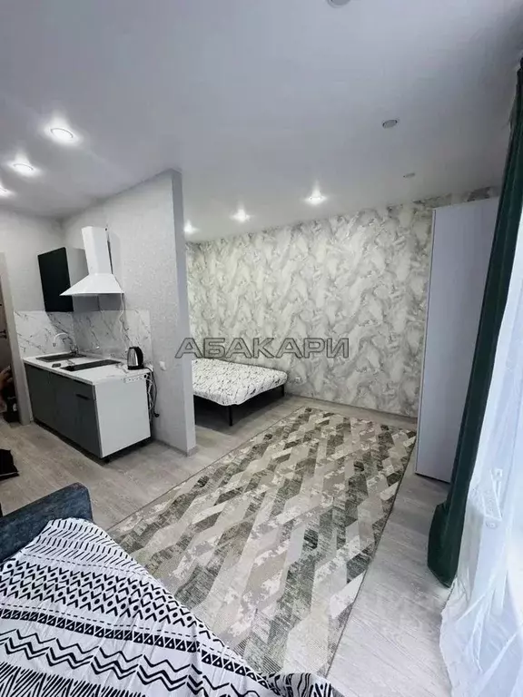 Студия Красноярский край, Красноярск Свободный просп., 66Рк4 (33.0 м) - Фото 2