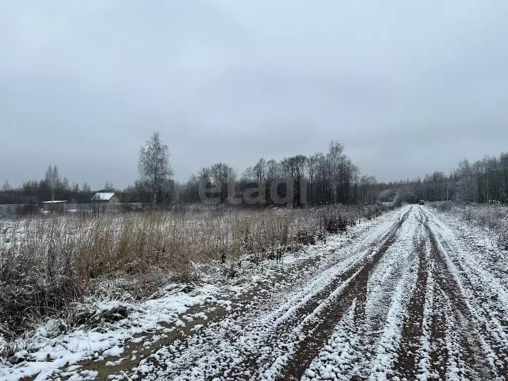 Участок в Ярославская область, Рыбинск Костовецкая ул., 65 (11.0 сот.) - Фото 0