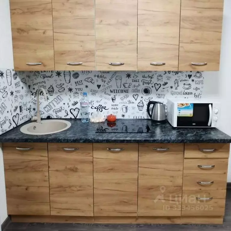 Студия Крым, Симферополь ул. Беспалова, 110Е (24.1 м) - Фото 2