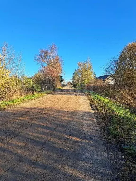 Участок в Вологодская область, Шекснинский муниципальный округ, д. ... - Фото 2