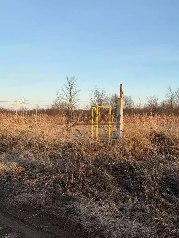 Участок в Татарстан, Пестречинский район, Кулаевское с/пос, пос. ... - Фото 1