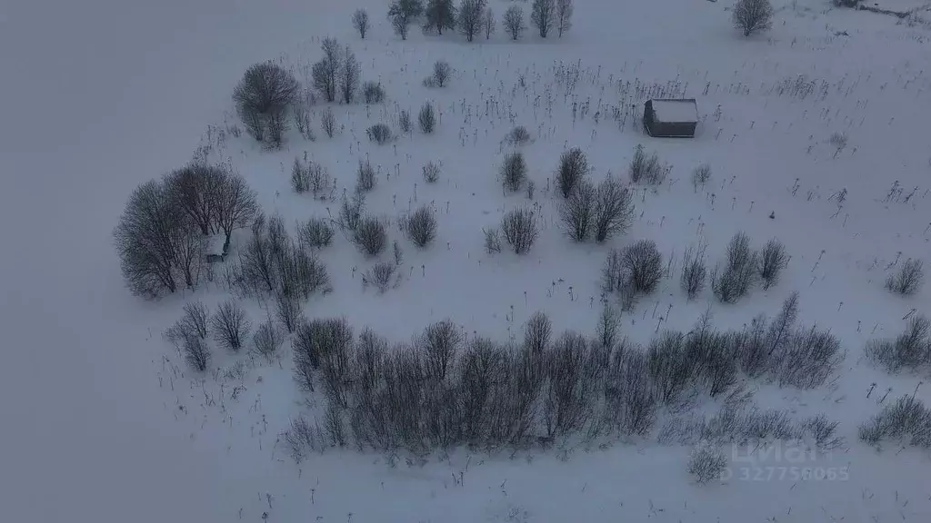 Участок в Московская область, Волоколамский муниципальный округ, с. ... - Фото 2