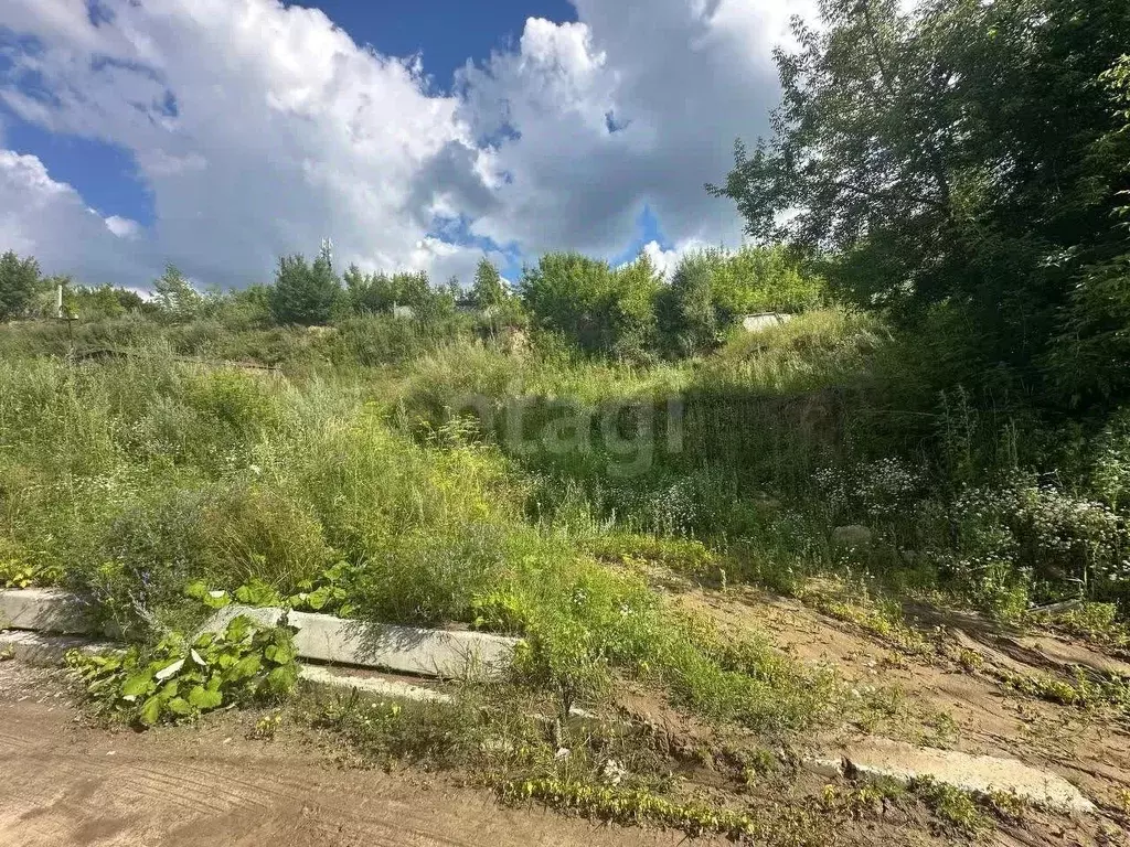 Участок в Новосибирская область, Новосибирский район, Мочищенский ... - Фото 1