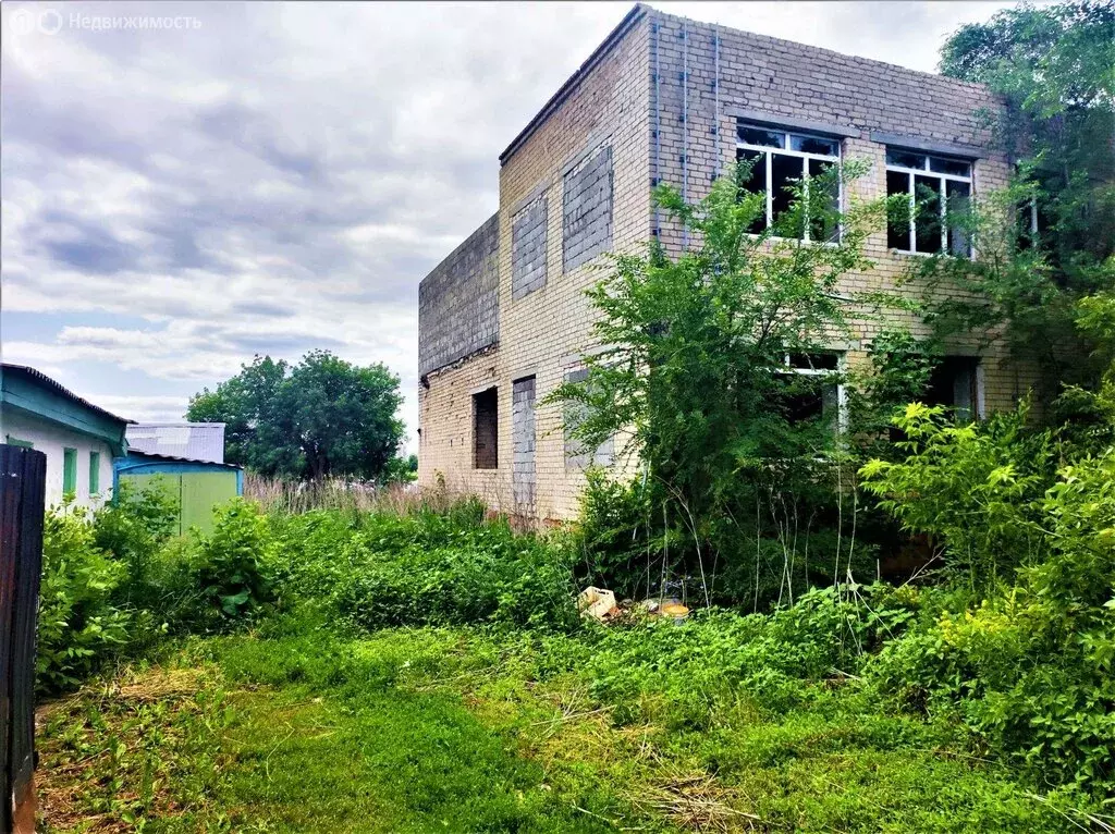 Помещение свободного назначения (750 м) - Фото 1