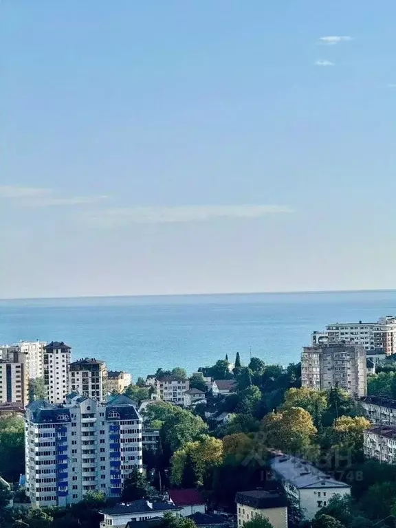 Свободной планировки кв. Краснодарский край, Сочи Теневой пер., 10Ак2 ... - Фото 1