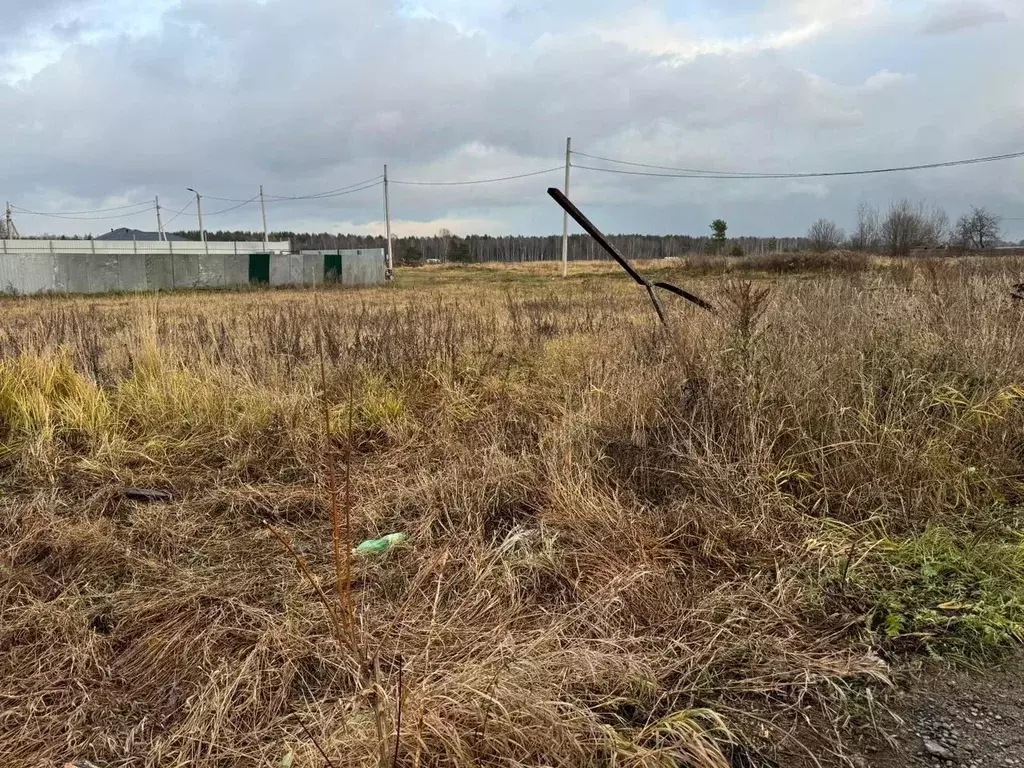 Участок в Московская область, Богородский городской округ, д. Соколово ... - Фото 0