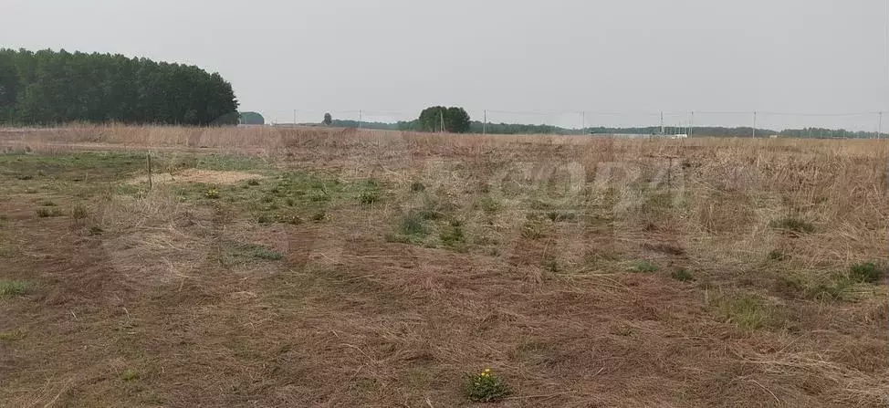 Купить Участок В Акиярах Больших