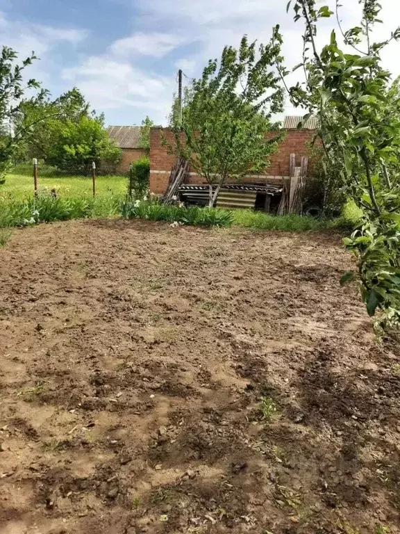 Участок в Ростовская область, Сальский район, Кручено-Балковское ... - Фото 2