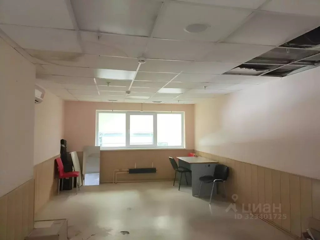 Офис в Челябинская область, Челябинск Салютная ул., 27 (16 м) - Фото 2