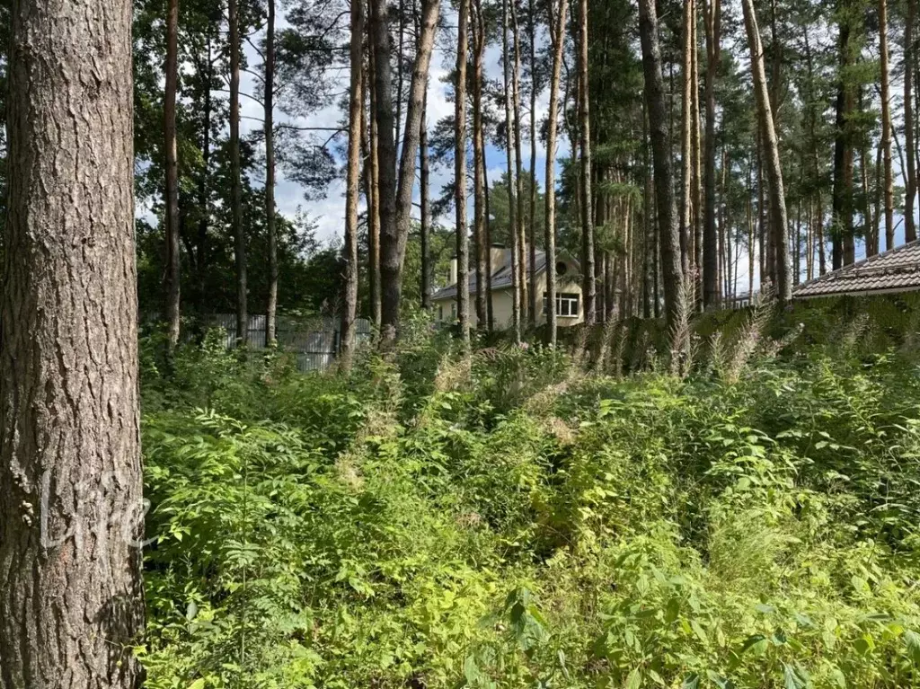 Участок в Московская область, Одинцовский городской округ, Лесной ... - Фото 2