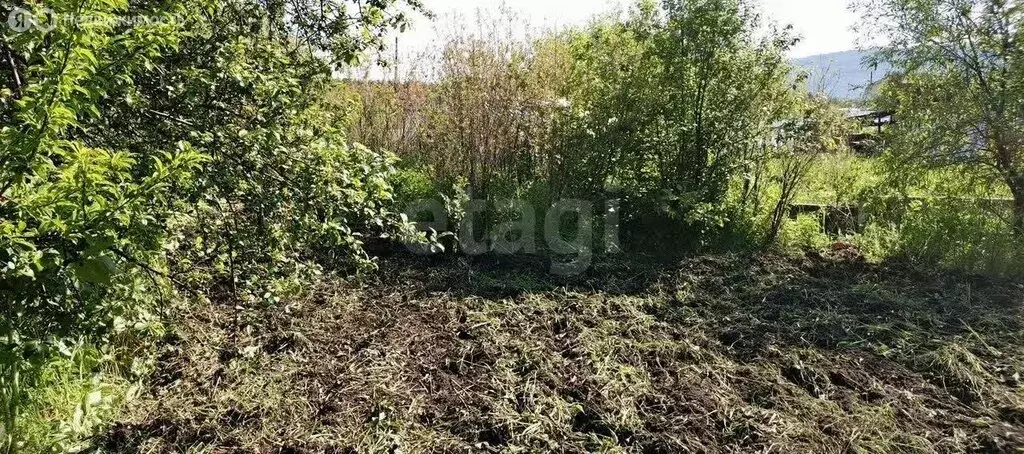 Участок в Миасс, СНТ Строитель-2 (5 м) - Фото 1