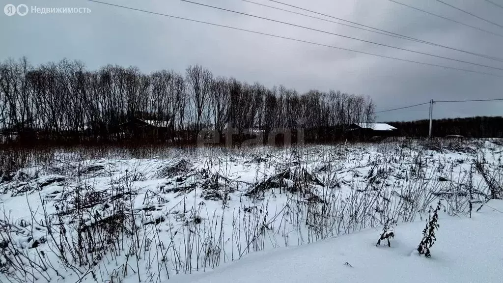 Участок в Архангельск, М-8, Подъезд к аэропорту Архангельск (Талаги), ... - Фото 2