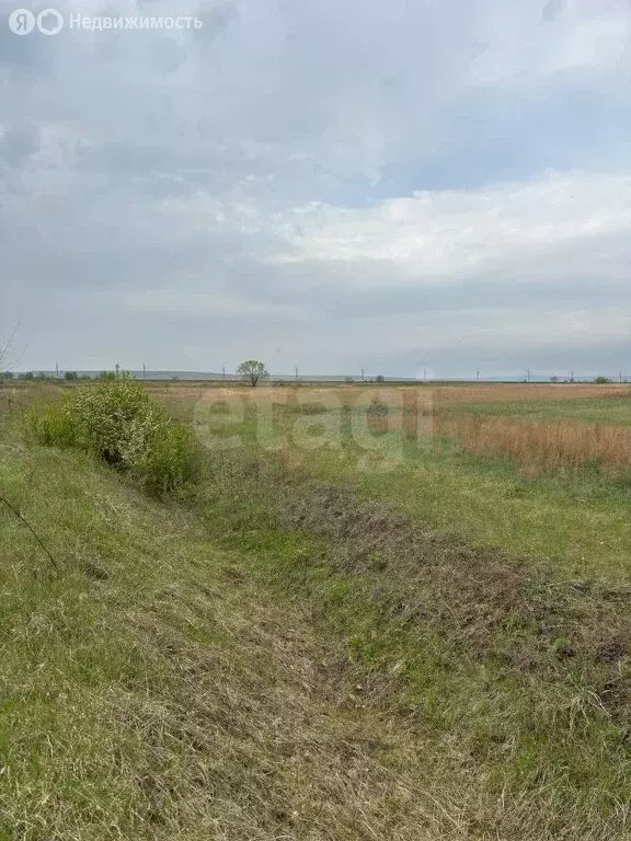 Участок в Усть-Абаканский район, аал Тутатчиков (61000 м) - Фото 0