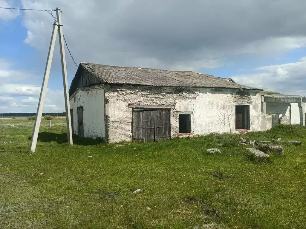 Помещение свободного назначения в Курганская область, Варгашинский ... - Фото 2