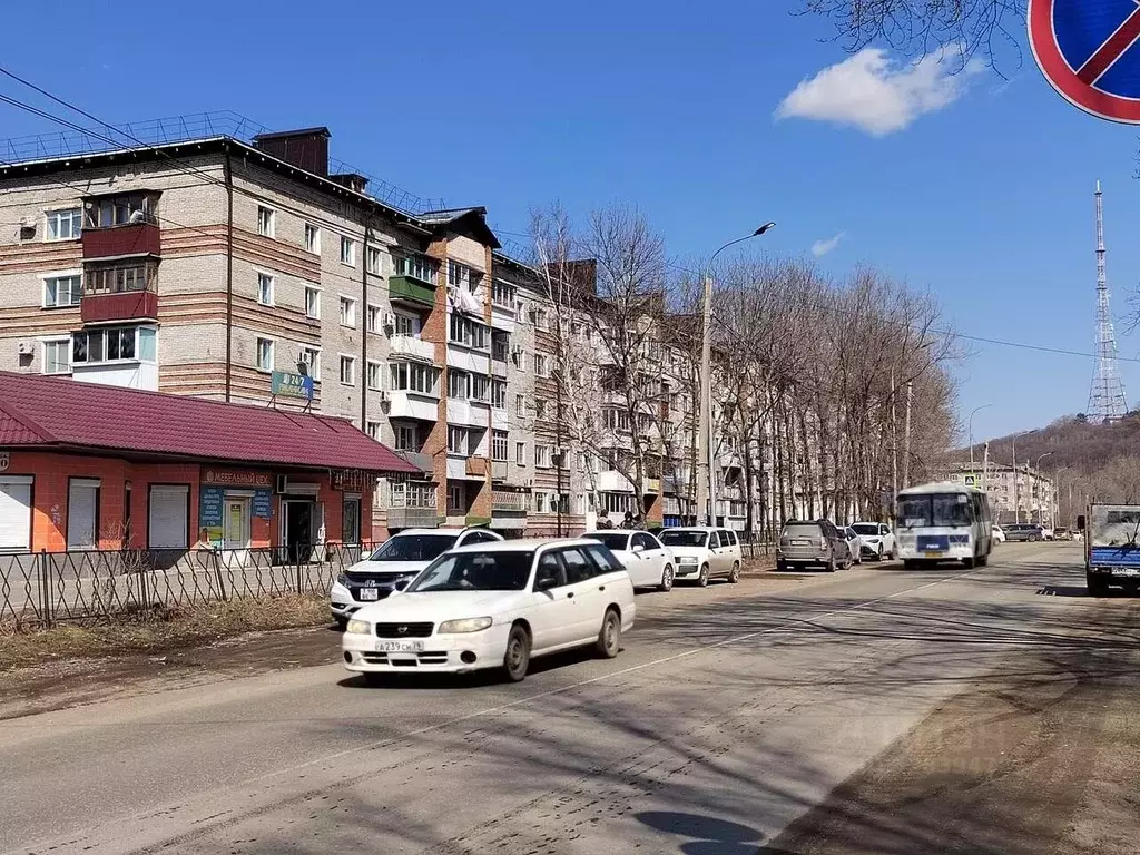 3-к кв. Еврейская автономная область, Биробиджан Сопка мкр, ул. Карла ... - Фото 1