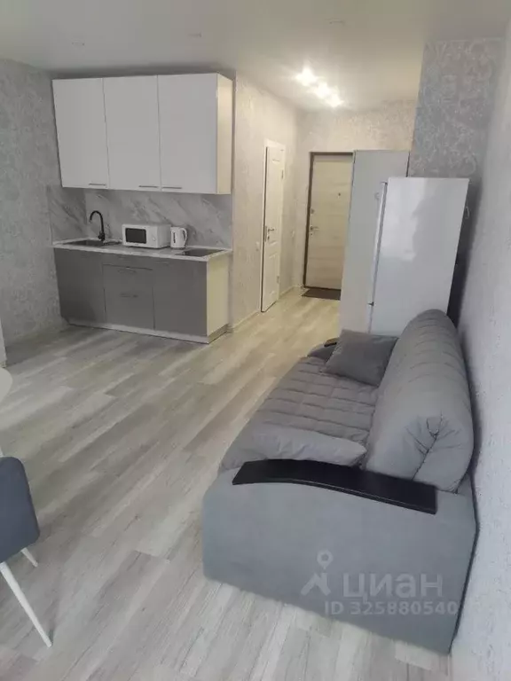 1-к кв. Московская область, Подольск городской округ, д. Борисовка ул. ... - Фото 1