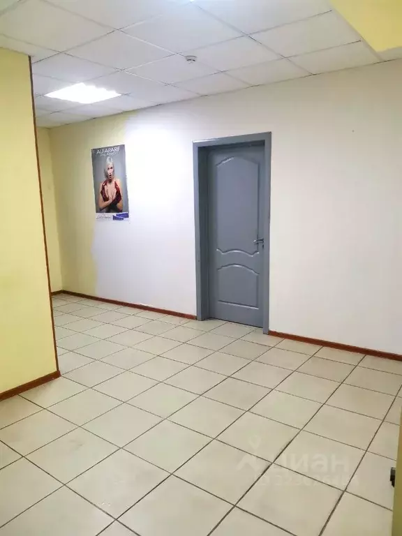 Помещение свободного назначения в Москва Сосенское поселение, ул. ... - Фото 2