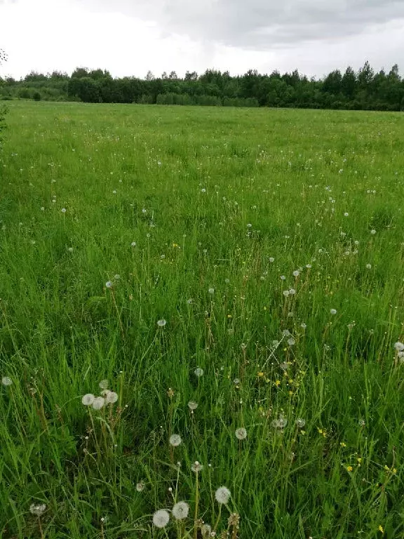 Продается участок в пос. Затишье - Фото 1