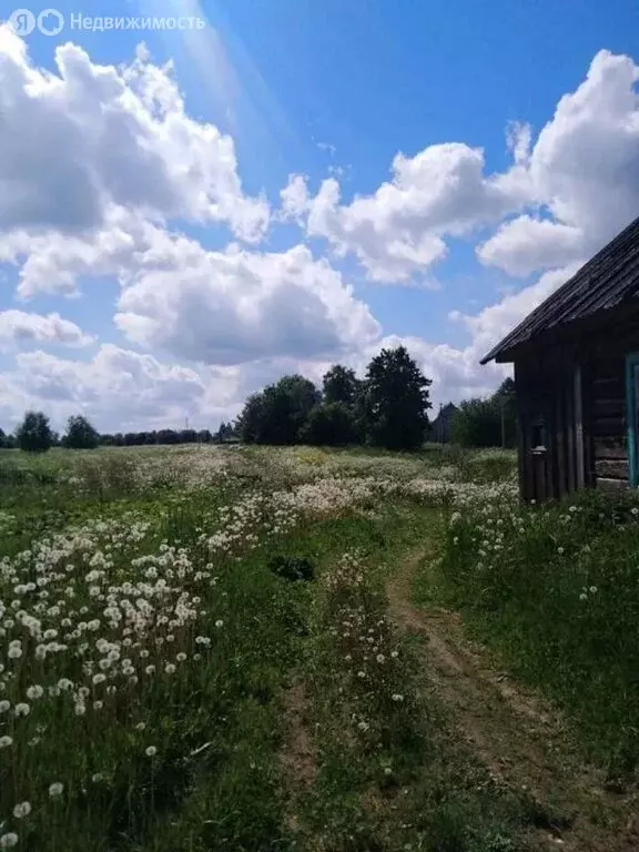 Участок в Волосовский район, Большеврудское сельское поселение, ... - Фото 0