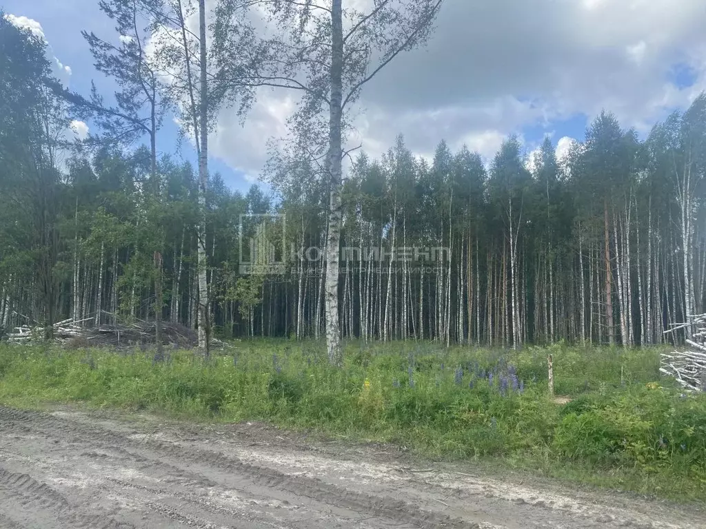 Участок в Владимирская область, Ковровский район, Новосельское с/пос, ... - Фото 2