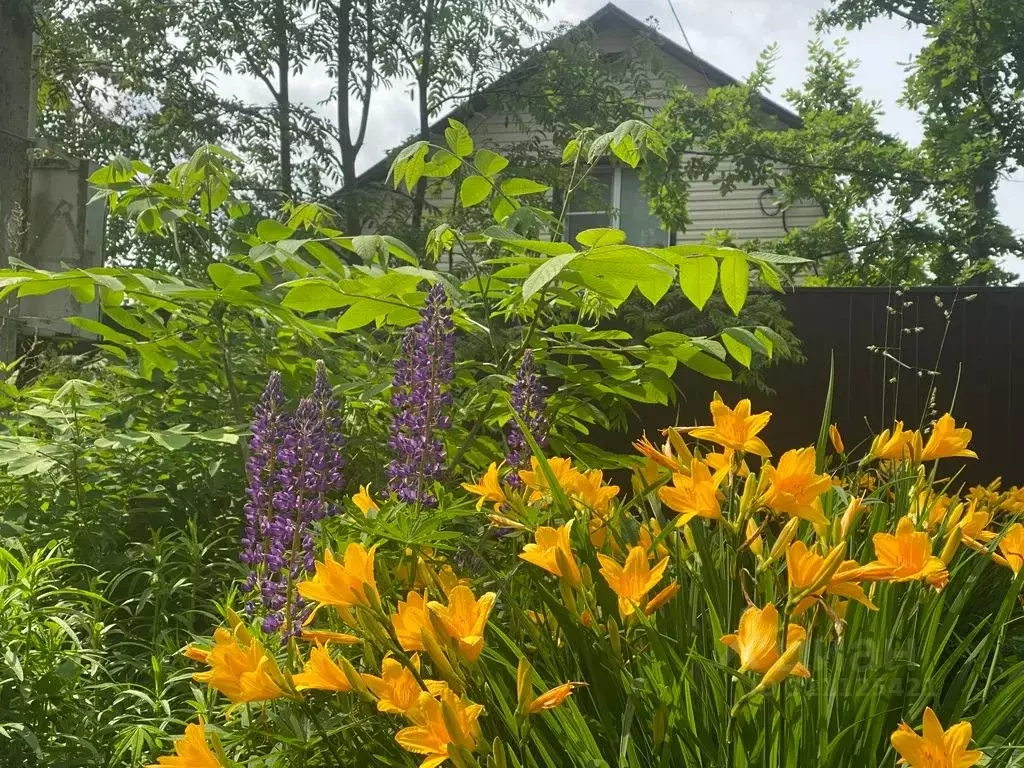 Дом в Московская область, Рузский муниципальный округ, д. Курово ул. ... - Фото 2