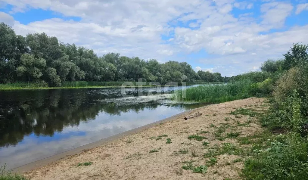 Участок в Саратовская область, Энгельсский район, с. Красный Яр ... - Фото 0
