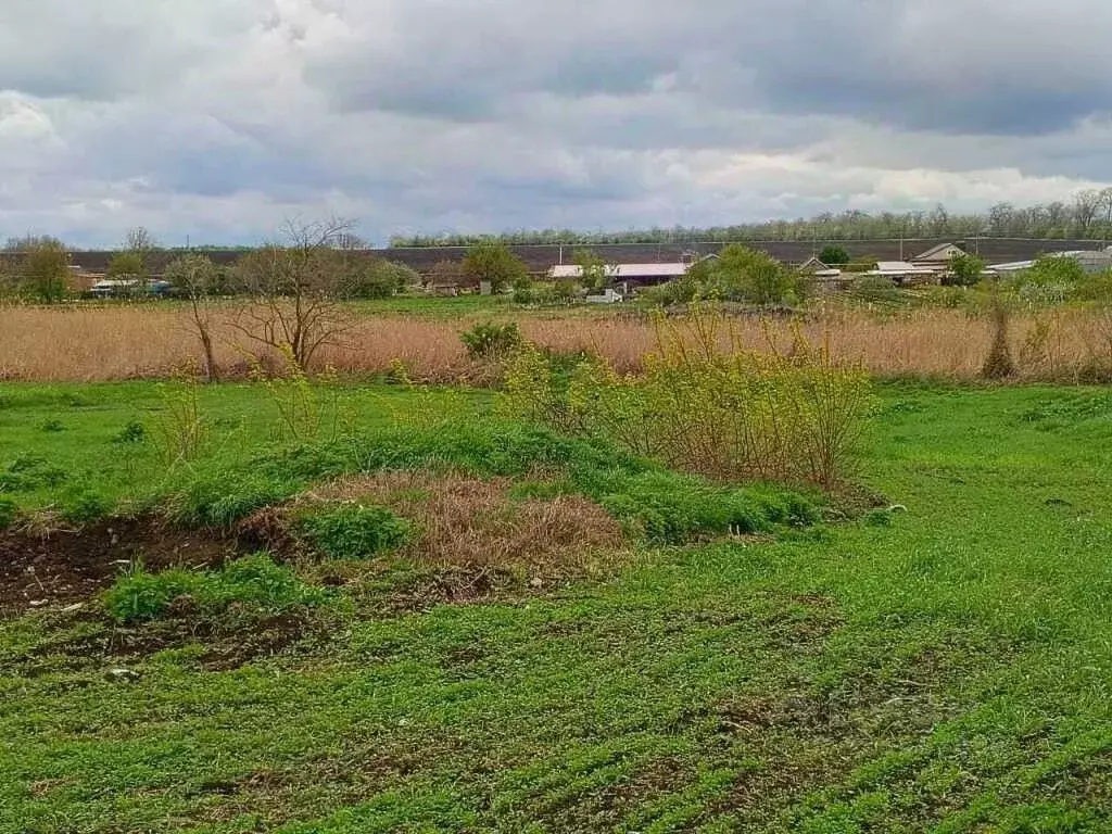Участок в Краснодарский край, Кореновский район, Журавская ст-ца ... - Фото 1