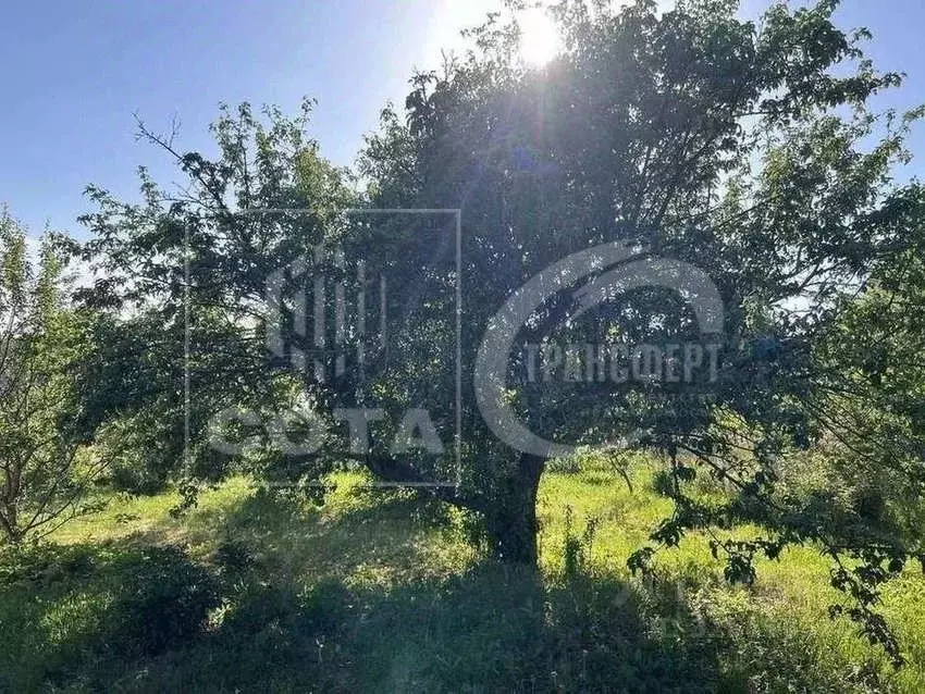 Участок в Воронежская область, Рамонский район, Березовское с/пос, ... - Фото 1