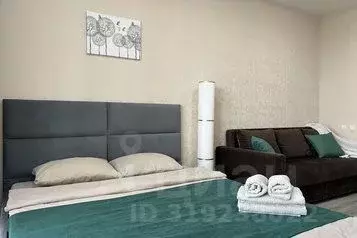 1-к кв. Татарстан, Казань ул. Родины, 26Б (29.0 м) - Фото 0