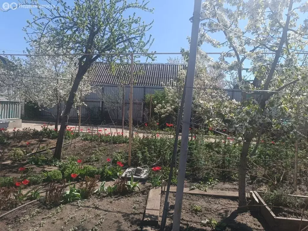 Дом в Каменск-Шахтинский, улица Танкистов (80 м) - Фото 1