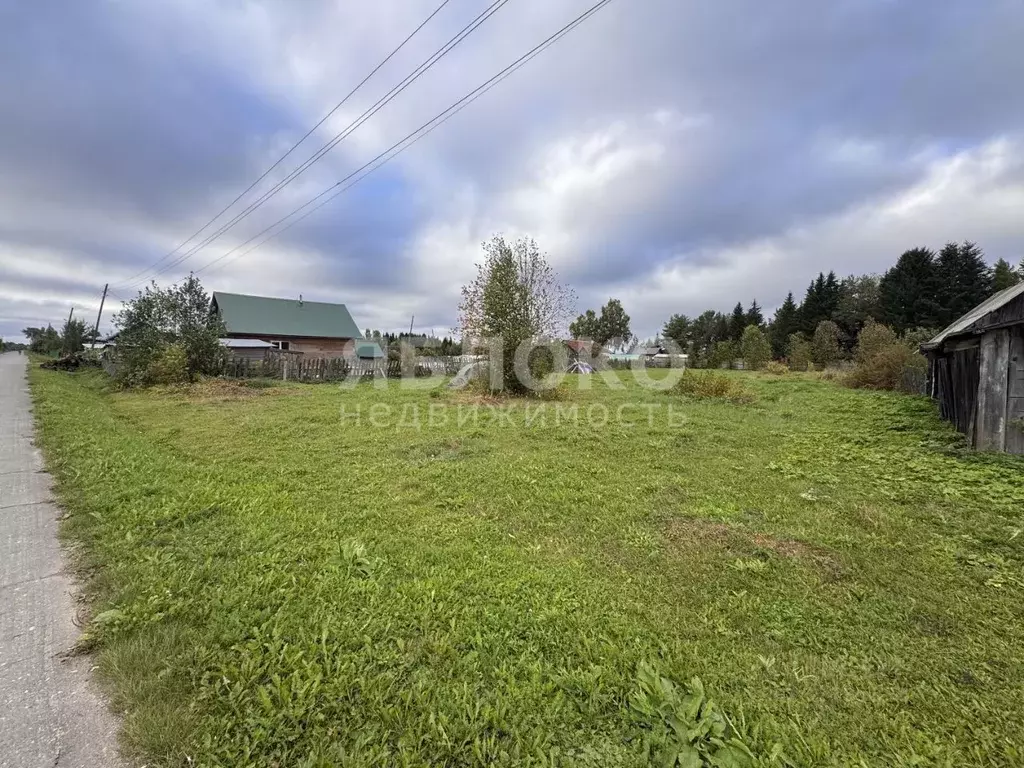 Участок в Пермский край, Березники муниципальный округ, д. Турлавы ул. ... - Фото 1