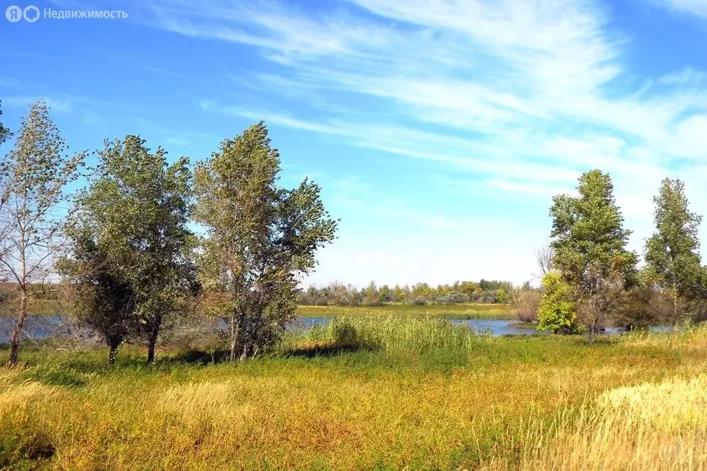 Участок в Астраханская область, городское поселение Ахтубинск (1154 м) - Фото 2