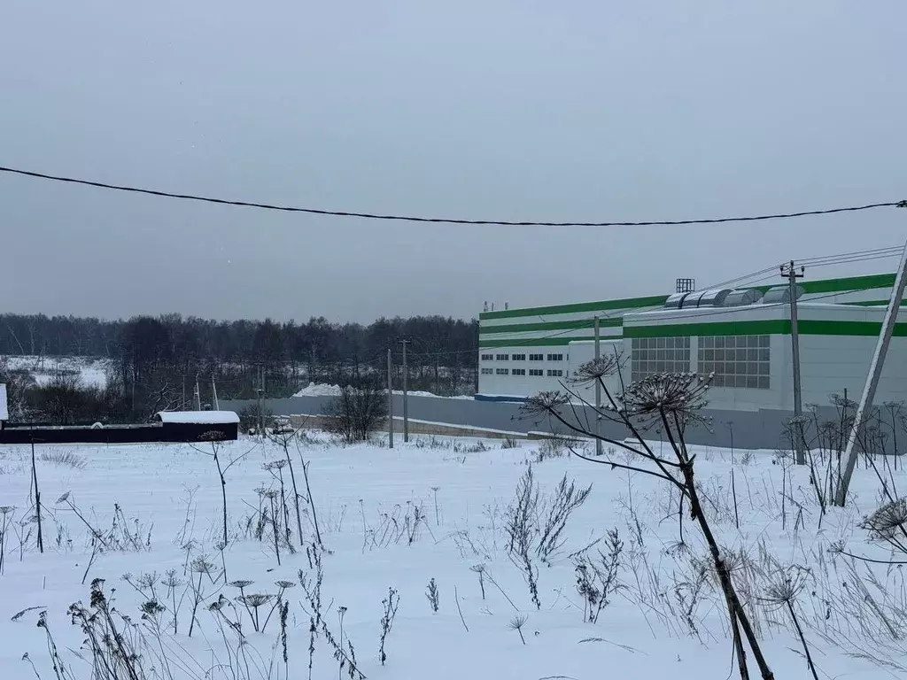 Участок в Московская область, Подольск городской округ, с. Сынково  ... - Фото 2