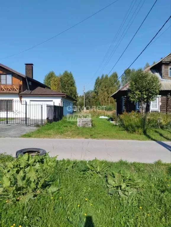 Участок в Нижегородская область, Бор муниципальный округ, д. Ильинское ... - Фото 2