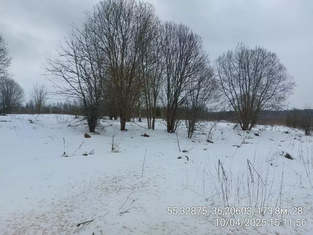 Участок в Московская область, Наро-Фоминский городской округ, д. ... - Фото 0