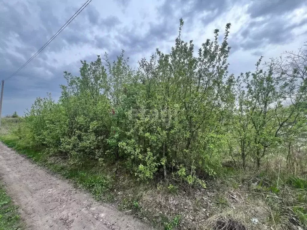 Участок в Белгородская область, Белгородский район, Ериковское с/пос, ... - Фото 0