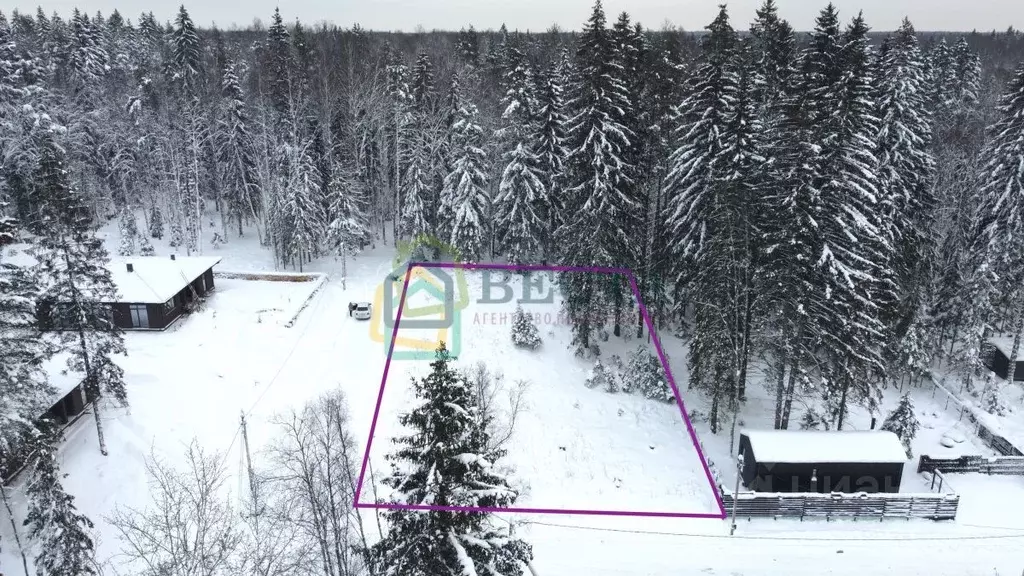 Участок в Ленинградская область, Всеволожский район, Токсовское ... - Фото 2