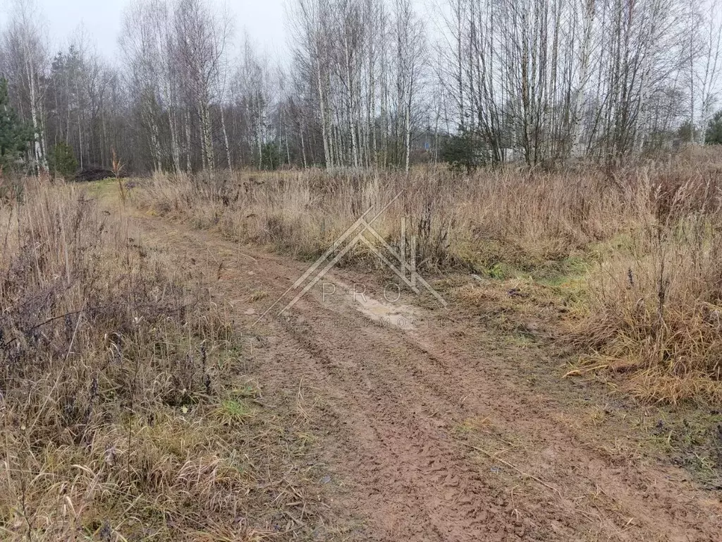 Участок в Ярославская область, Ярославский муниципальный округ, д. ... - Фото 1