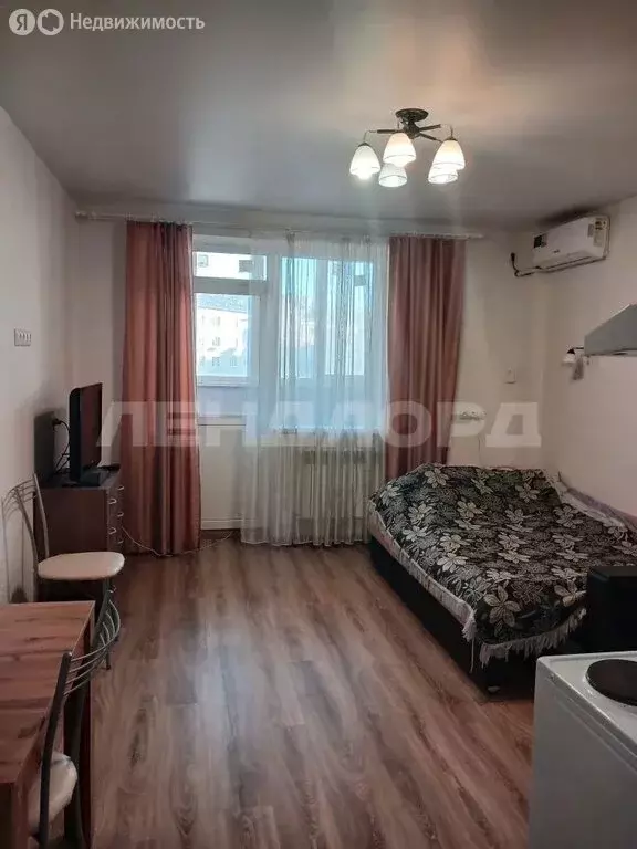 Квартира-студия: Ростов-на-Дону, переулок Салютина, 2Б (23.6 м) - Фото 2