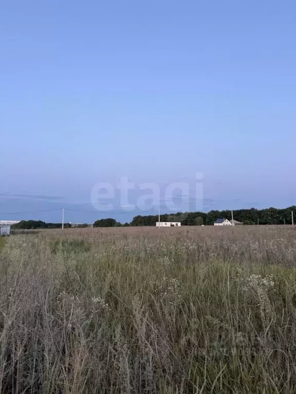 Участок в Курская область, Курский район, Моковский сельсовет, д. 1-я ... - Фото 0