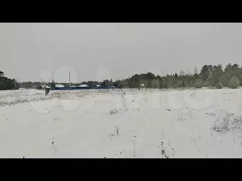 Участок 10 сот. (СНТ, ДНП) - Фото 1