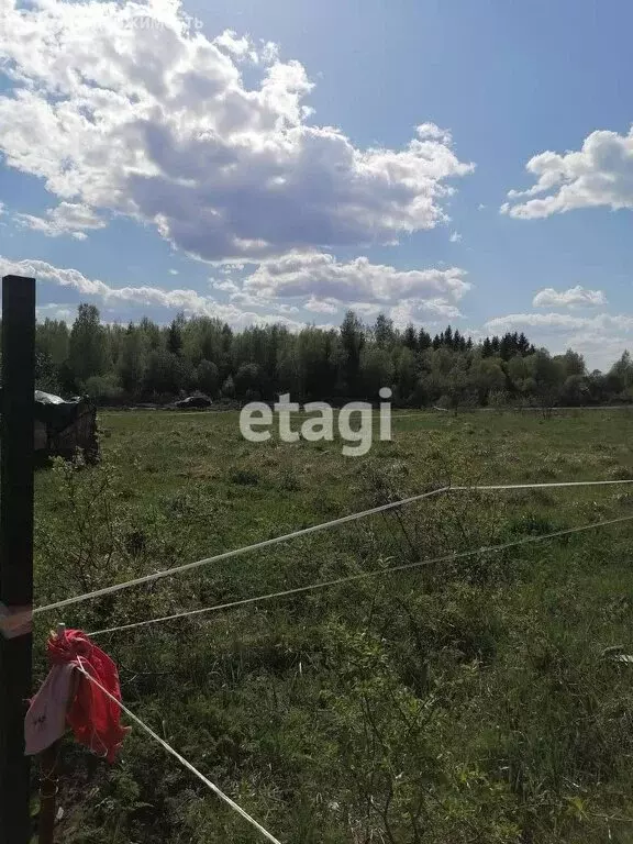 участок в ленинградская область, гатчинский муниципальный округ, . - Фото 1