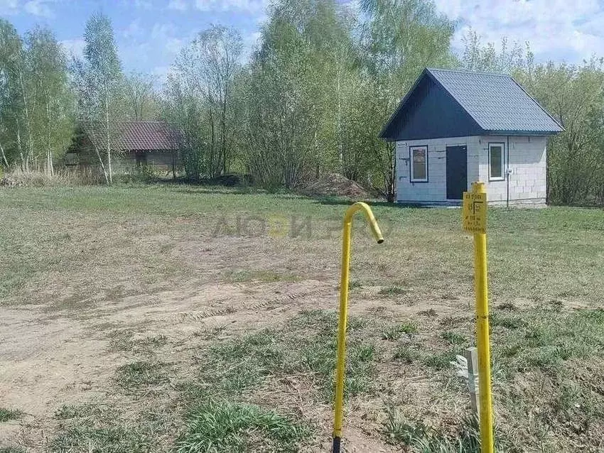 Участок в Алтайский край, Барнаул городской округ, пос. Бельмесево ... - Фото 1